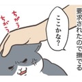 愛猫にねだられ、なでなでタイム。まさか「肉球」を触って欲しいなんてことあるんだ…【おさんぽですし！　おしゃべり犬とイライラ猫の日記 #22】 画像