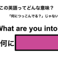 この英語ってどんな意味？「What are you into?」 画像