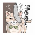 「すんっ…」遊びたい飼い主を華麗にスルーする猫の反応【猫がおしりを向けてきます #６】 画像