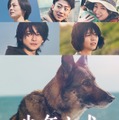 Prime Video4月新着コンテンツ発表「少年と犬」「お嬢と番犬くん」「北斗の拳」ほか 画像