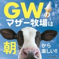 【GW2026】マザー牧場、GWは早朝から開園…羊200頭の大放牧も 画像