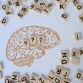 東大入試の英語で合格者の上位１０％になる勉強方法は？「リスニング力を鍛えるツール、人気の単語帳は」 画像