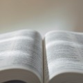 英単語や文法は知っているハズなのに…長文になると読めない！書けない‼生成AIで「英語力」が伸びるってホント？【使い方実例つき】 画像