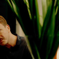 『PEACOCK／ピーコック』 © 2024 NGF GEYRHALTERFILM CALA FILM ZDF/ARTE.