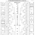 第108回全国高校野球選手権 東東京大会組み合わせ