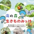 生きもの観察（海の森公園）