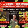 【夏休み2026】伊豆シャボテン動物公園「食虫植物展」7-9月…自由研究にも 画像