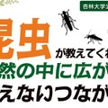 【夏休み2026】杏林大、公開講演会「昆虫が教えてくれる」 画像