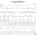 第108回全国高等学校野球選手権大会