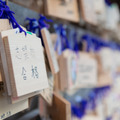 今も「偏差値が高い大学を目指す」意味がある？先が見えない時代、親は教育のゴールはどこに見据えるべきか【菊池省三先生インタビュー】 画像