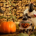 『映画 ひつじのショーン かぼちゃ畑の怪物!』© 2026 / AARDMAN ANIMATIONS Ltd - All Rights Reserved