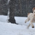 雪に包まれる札幌の練習場、公式Twitterの紹介に配慮があふれる 画像