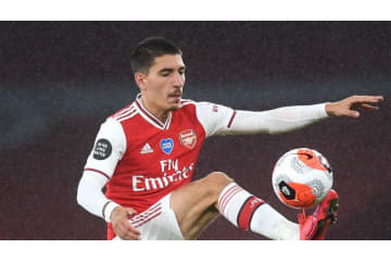 ベジェリン、木を植える 画像