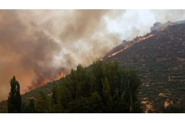 カシージャスが災害ボランティア…大規模山火事の現場で 画像