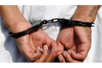 イタリア検察「違法移籍」の可能性を調査…3分の2がユヴェントス関連か 画像