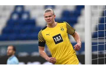 ホーラン「一つだけ成長させられるとすれば…」何を選択した？ 画像