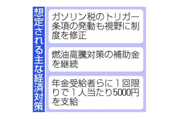 経済対策、トリガー発動も検討 画像