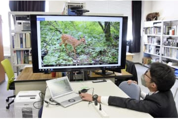 岐阜大に獣害対策の新拠点 画像