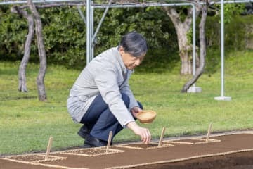 天皇陛下が皇居で種もみまき 画像