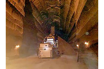 ロシア産肥料原料、輸入ゼロ 画像