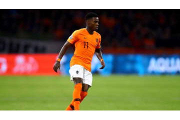 親族刺傷のオランダ代表、麻薬密輸とDVにも関与か 画像