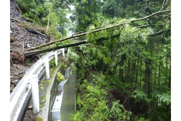 静岡で高齢男性転倒しけが 画像