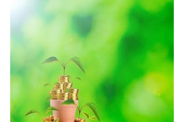 風水師が語る！お金持ちになるための「種まき」って？ 画像