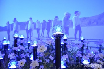 SEVENTEEN、ポップアップに“CARAT棒の花畑”誕生 グッズ・フォトスポット・名入れ可能キーホルダーと盛りだくさん【SEVENTEEN TOUR 'FOLLOW' AGAIN TO JAPAN POP-UP STORE潜入レポート】 画像