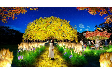 東京・小金井公園で幻想的な夜散歩 “16日間限定”ライトアップイベント開催 画像