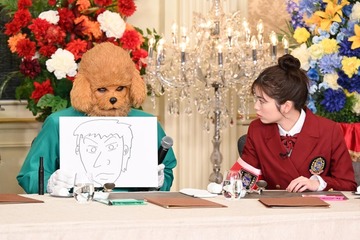 「ぐるナイ」ゴチ新メンバー明らかに マルチな売れっ子＆映画ドラマで活躍の人気者 画像