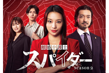高橋メアリージュン主演「離婚弁護士 スパイダー」シーズン2地上放送決定 寺西拓人も新たに仲間入り 画像