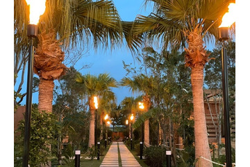 兵庫・淡路島にハワイアンな複合リゾート「アワジ ラニカイ スクエア」宿泊施設や飲食店を併設 画像