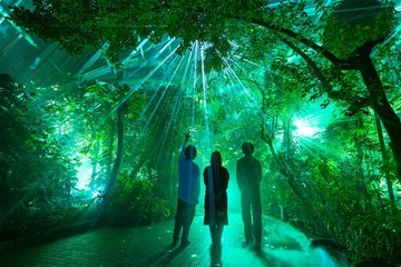 京都府立植物園の幻想的なアートイベント 「LIGHT CYCLES KYOTO」バージョンアップして復活！5月24日開演 画像