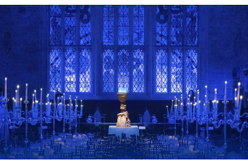 スタジオツアー東京、個人向け特別ディナー初開催「炎のゴブレット」仕様の大広間でとっておきの食体験 画像