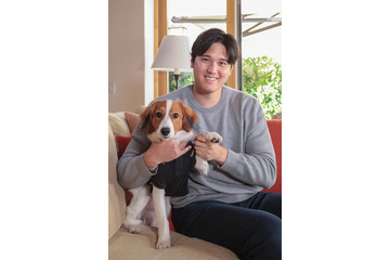 大谷翔平選手、愛犬・デコピンの豪華誕生日ショット公開「鼻クリーム可愛すぎる」「ケーキがオシャレ」と反響 画像