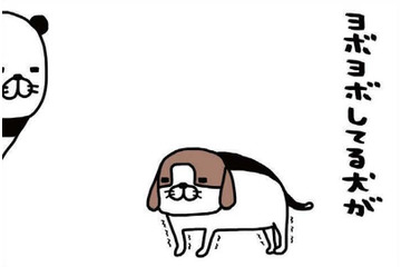ヨボヨボ愛犬、一人でできないことが増えるばかり。それでも愛おしすぎるのはナゼ？【パンダと犬 ＃35】 画像