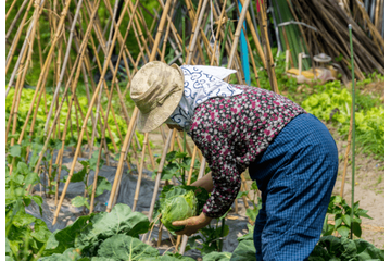 農家をやっている80代の祖父母　孫「こんなに食べれないよ」⇒祖父母から”送られてきた物”に「何歳になっても孫」 画像