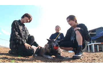 ROIROMの新企画始動 “活躍犬”を労うロケ挑戦＆感動の展開に 画像