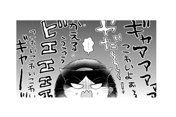 【猫視点】連れて来られたのは色んな子が泣いたり叫んだりしている場所！ ここは一体何なの？【同居人はひざ、時々、頭のうえ。 #69】 画像