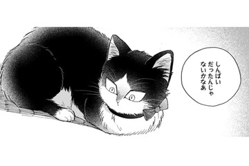 【猫視点】ぐったりしてると犬が話しかけてきた。あの子が私の事を心配してる？家族って何？【同居人はひざ、時々、頭のうえ。 #71】 画像