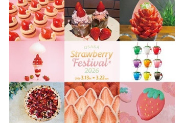 いちご好き必見！横浜で58万人動員の“いちごの祭典”大阪に再上陸 画像