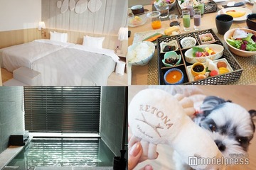 愛犬との初お泊り旅行にも！箱根の温泉ホテル「RETONA HAKONE」で家族みんなが喜ぶ快適な旅を 画像
