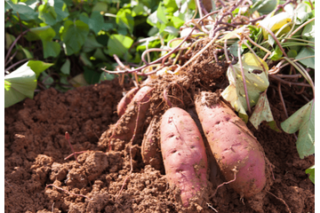 22歳の息子が泥だらけ！？70歳の祖母の“自慢げな様子”に⇒「言葉にできないほど幸せ」 画像