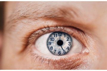 ブロッコリーの７倍！老化を遅らせる注目の栄養素がとんでもなく多い神食材「ブロッコリースプラウト」がすごい３つの理由 画像