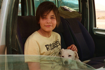 カンヌ・パルムドック受賞の“演技派犬”が物語を動かす！『シラート』本編映像 画像