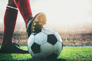 【夏休み2026】サッカーW杯熱狂の今！小学生向け自由研究テーマアイデア集 画像