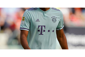 バイエルン、イブラヒモヴィッチ獲得　ただし… 画像