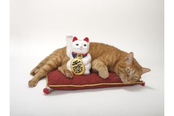 金持ち体質は「断られた後」の行動が違う！ 画像