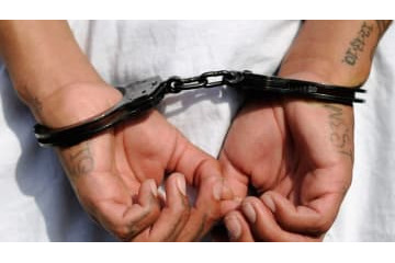 「選手の人身売買」容疑で…ポルトガルで2名の代理人が逮捕 画像