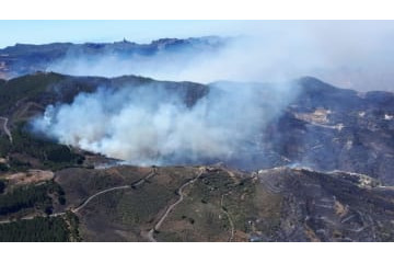 スペイン2部、山火事でも試合強行…ラスパルマスの延期要請を拒否 画像